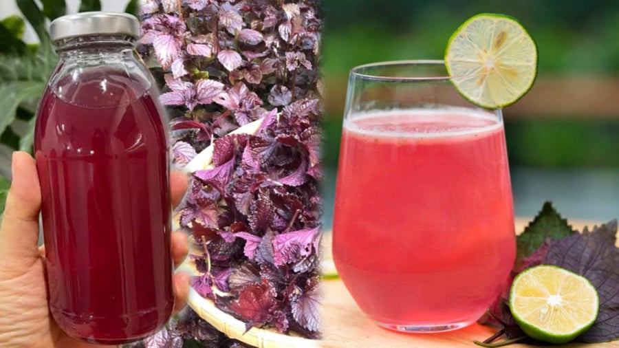 Nước lá tía tô chanh mang lại nhiều lợi ích cho sức khỏe.