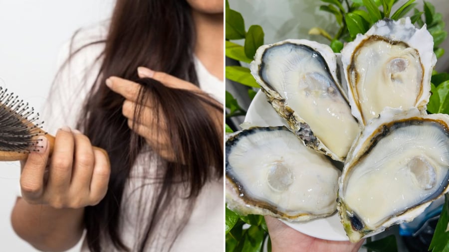 Hàu chứa nhiều protein và kẽm cũng có tác dụng trong việc giảm rụng tóc, nuôi dưỡng mái tóc.
