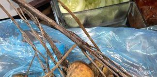 Những tác dụng của quả nhãn: trái cây mùa hè giàu dinh dưỡng