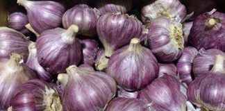 5 loại tỏi không nên mua – đến cả người bán cũng không dám ăn!