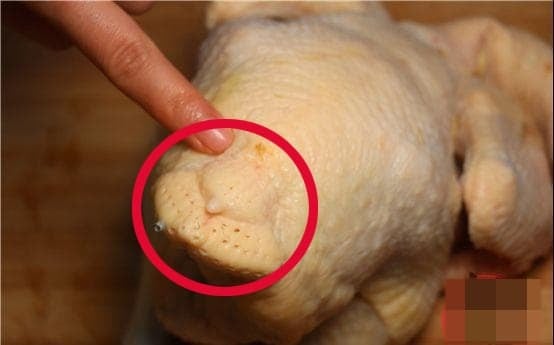 Phần mông gà, còn gọi là “phao câu” hay “đầu mông gà”, là nơi lông đuôi mọc và khá mềm, đầy đặn.