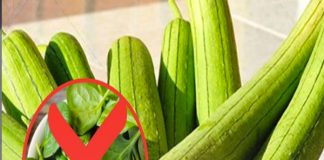 Mướp rất bổ, ví như “nhân sâm người nghèo” nhưng kỵ với 3 thứ, nhiều người không biết vẫn nấu chung