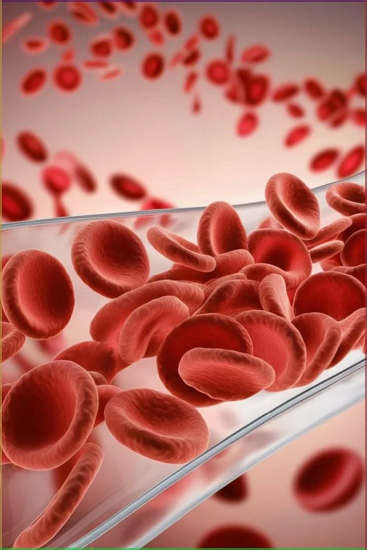 Thực phẩm bổ máu giúp cơ thể khỏe mạnh