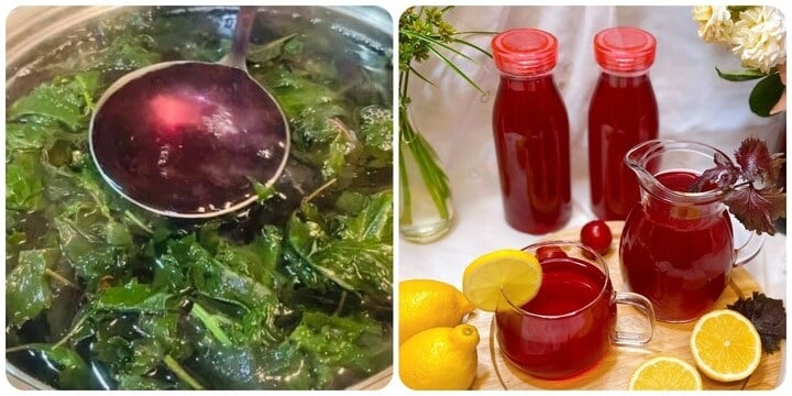 4 thời điểm phụ nữ uống nước lá tía tô vắt thêm chanh thải độc, da căng bóng