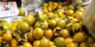 Hồng giòn vào mùa chín vàng ngon nhưng 6 người này nên hạn chế ăn kẻo phải cấp cứu