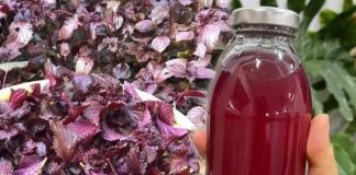 Loại rau là “vua thải độc gan”, hút sạch mỡ máu, chợ bán 5 ngìn/bó