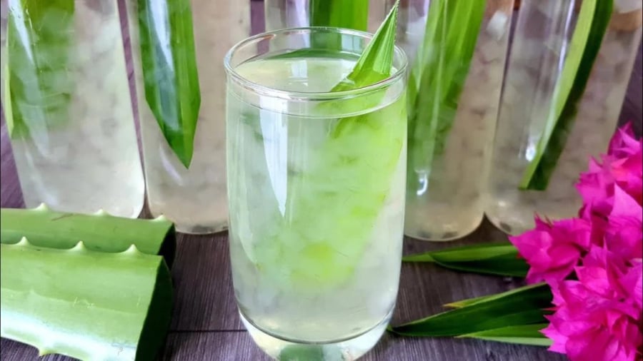 Nước nha đam (lô hội) – Làm mát, giảm đau, kháng viêm 