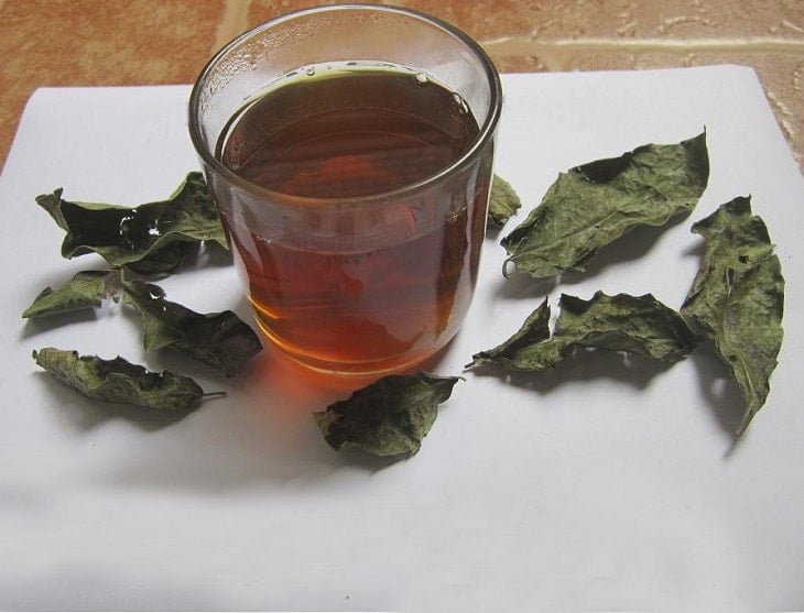 Lá xạ đen có thể không thích hợp với nhiều người