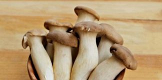 Loại nấm được ví như ‘bào ngư chay’ tốt cho hệ miễn dịch và tim mạch, bán rộng rãi với giá rẻ bất ngờ