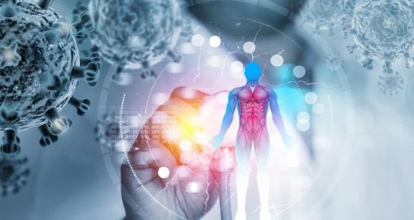 Nguyên nhân chủ yếu là do nhiễm vi khuẩn Helicobacter pylori, loại vi khuẩn sống bám trên niêm mạc dạ dày, tiết độc tố gây viêm mạn tính, dần phá hủy lớp bảo vệ và làm tế bào biến đổi.