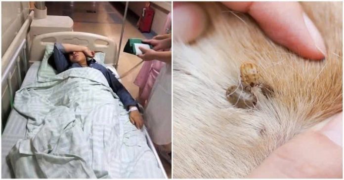 559657894_1166150008980141_5746177582020317630_n