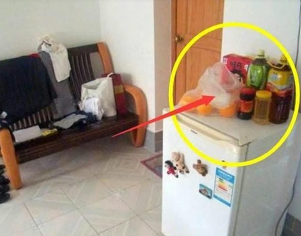 568540731_1166493545612454_7208680139506285921_n