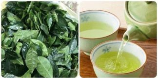 Bị K ở tuổi 40, Tống Mỹ Linh vẫn sống thọ 106 tuổi: Bí quyết nằm ở 2 loại nước uống Việt Nam giá chỉ vài nghìn đồng