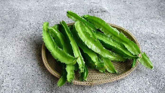 dau-rong-rat-nhieu-cong-dung-tha