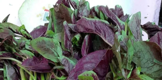 10 loại rau bổ có thể “làm hỏng” thận, bác sĩ cảnh báo, trước khi xào nấu nhớ làm ngay việc này