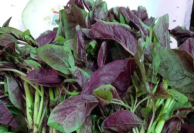 10 loại rau bổ có thể “làm hỏng” thận, bác sĩ cảnh báo, trước khi xào nấu nhớ làm ngay việc này- Ảnh 1.