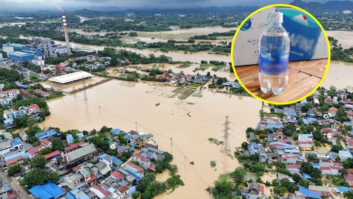 khong-phai-gao-hay-mi-tom-day-la