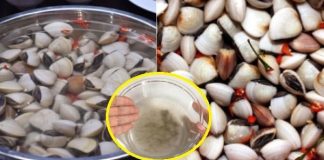 Mẹo hay giúp ngao nhả hết cát trong tích tắc: Không cần ngâm lâu vẫn sạch bong