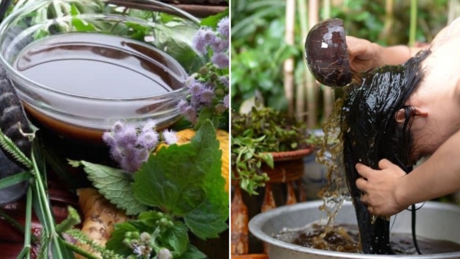 Nước gội đầu tự các nguyên liệu tự nhiên có tác dụng tốt trong việc chống rụng tóc, giúp tóc chắc khoẻ, bóng mượt hơn.