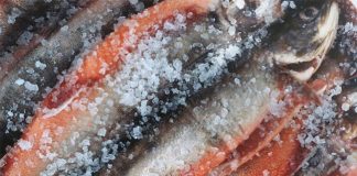 4 món cá dễ gây u;n;g thư bậc nhất, người bán chẳng dám ăn nhưng nhiều gia đình lại cực thích