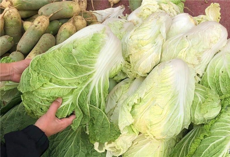 Đi chợ thấy 5 loại rau này thì