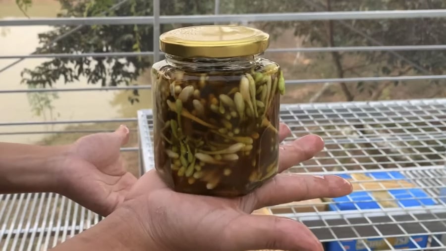 Hoa đu đủ đực ngâm mật ong cực tốt nhưng đại kỵ với 4 người này