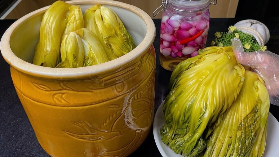 Nṑng ᵭộ muṓi và ᵭường phù hợp sẽ giúp dưa muṓi nhanh chua.