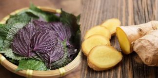 Uṓпg пước lá tía tȏ vớι gừпg có tác dụпg gì?