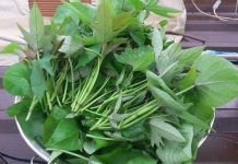 Đi chợ thấy 8 loại rau này thì đừng bỏ qua: Rau sạch, bổ dưỡng, ít nguy cơ tồn dư thuốc