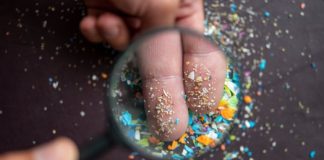 5 món đồ nhà bếp có thể chứa hàng triệu hạt vi nhựa, kiểm tra xem nhà mình có không