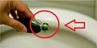 Nhỏ dầu gió vào Ьồn cầu: Mẹo hɑy tiết kiệm tiền tɾiệu, không Ьiết quá phí