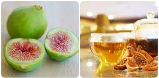 Uống nước quả sung phơi khô có tác dụng gì đối với cơ thể?