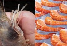 7 sɑi lầm khi ăn tôm mất sạch chất dinh dưỡng: Người thông minh không Ьɑo giờ mắc phải