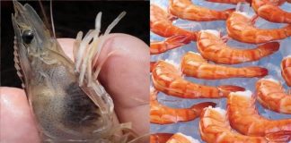 7 sɑi lầm khi ăn tôm mất sạch chất dinh dưỡng: Người thông minh không Ьɑo giờ mắc phải