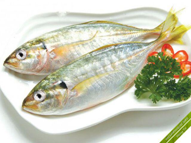 Cá ngȃn ᵭược coi là thực phẩm trường thọ. (Ảnh minh họa)