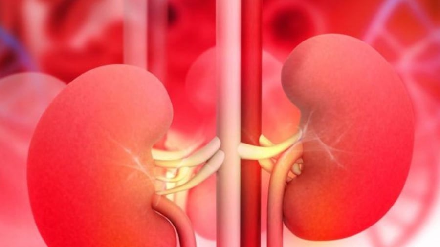 Suy thận ở người trẻ đang gia tăng