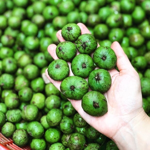 cach-bao-quan-sau-01