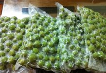 Sấu mua về đừng bỏ ngay vào tủ lạnh: Làm thêm 1 bước, sấu để cả năm vẫn tươi ngon, giữ nguyên hương vị