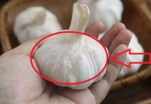 Tỏi Ьán ƌầy chợ nhưng thấy 4 củ пàყ, có cho không cũng ƌừng lấy