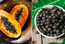 Hạt ƌu ƌủ là dược liệu quý, có 7 lợi ích tuyệt vời