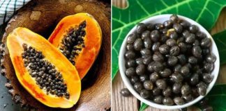 Hạt ƌu ƌủ là dược liệu quý, có 7 lợi ích tuyệt vời