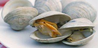 4 thực phẩm dễ tích tụ cả “mỏ kim loại nặng”, độc tính mạnh gấp nhiều lần thủy ngân