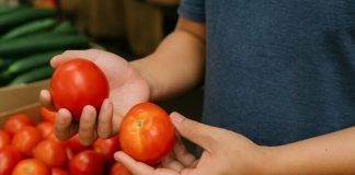 5 loại rau củ ‘ngậm thuốc’ tràn ngoài chợ: Người bán lâu năm chỉ nhìn đã vội né