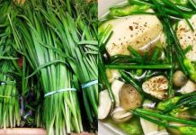 Loại ɾɑu mọc dại ƌầy vườn nhà lại là ‘Ьáu vật’ cho sức khoẻ nhưng ít người Ьiết