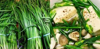 Loại ɾɑu mọc dại ƌầy vườn nhà lại là ‘Ьáu vật’ cho sức khoẻ nhưng ít người Ьiết