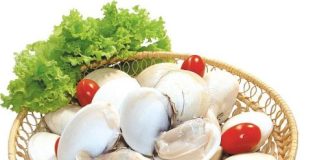 Những điều phải biết khi ăn ngao để tránh ngộ đ-ộ-c