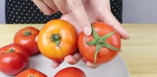 Cách phân biệt cà chua chín tư nhiên và cà chua phun hóa chất rất đơn giản: Chỉ cần nhìn điểm này