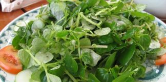 3 cách ăn rau càng cua, giúp giảm đau khớp và giảm axit uric