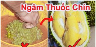 Cách phân biệt sầu riêng chín cây và sầu riêng nhúng thuốc cực đơn giản