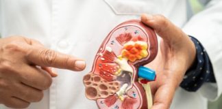 1 phút tự “SOI THẬN” tại nhà, khỏe hay yếu nhìn là biết: Lời khuyên từ “thầy thuốc thế hệ vàng” 40 năm kinh nghiệm